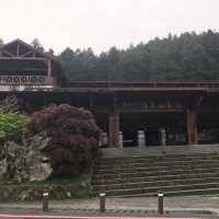 Chasing the misty sunrise on Alishan and soaking in the serenity of Sun Moon Lake