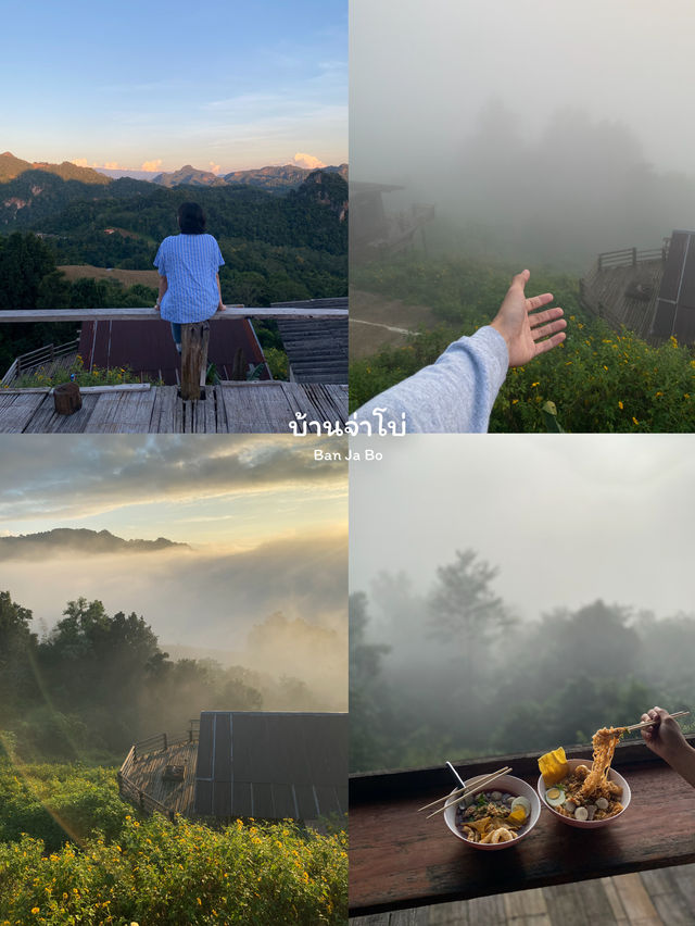 10 พิกัดเที่ยวแม่ฮ่องสอน | ฤดูหนาว 🏡⛰️🌼🌳