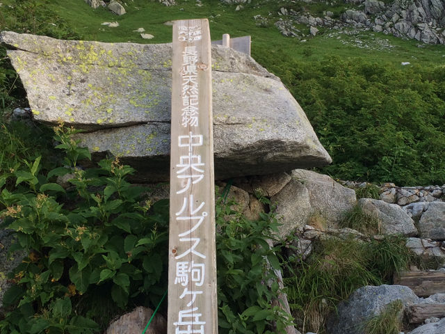 【日本百名山】木曽駒ヶ岳！登山⛰️