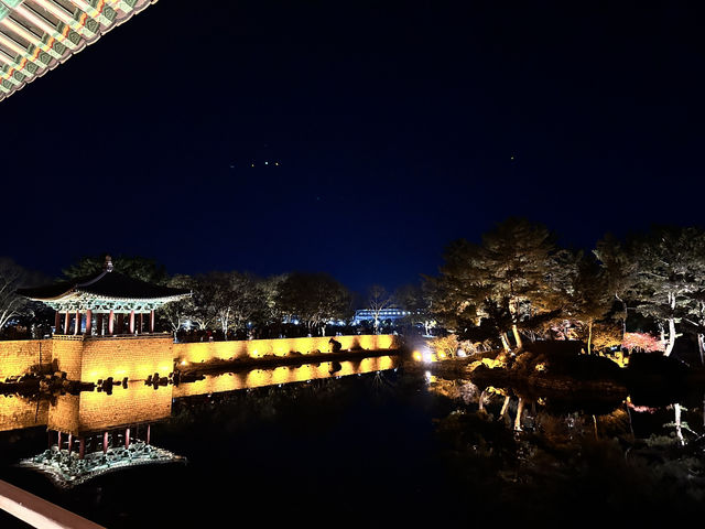 🇰🇷慶州✈️越夜越美麗的東宮與月池동궁과월지