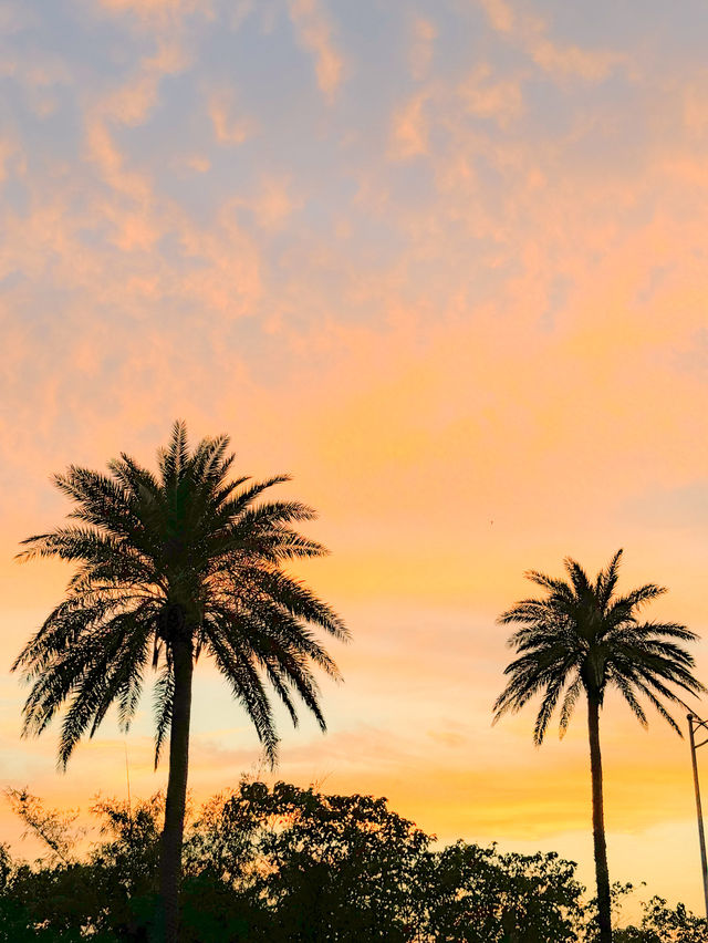 【墾丁】台湾最南端で感動のサンセット🌅潭仔漁港の絶景！