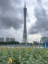 Canton tower view from Huacheng Square