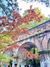 【京都　南禅寺】和と洋の雰囲気を一気に味わえる！