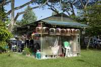 Birds telling your fortune in Singapore - Kebun Baru Birdsinging Club