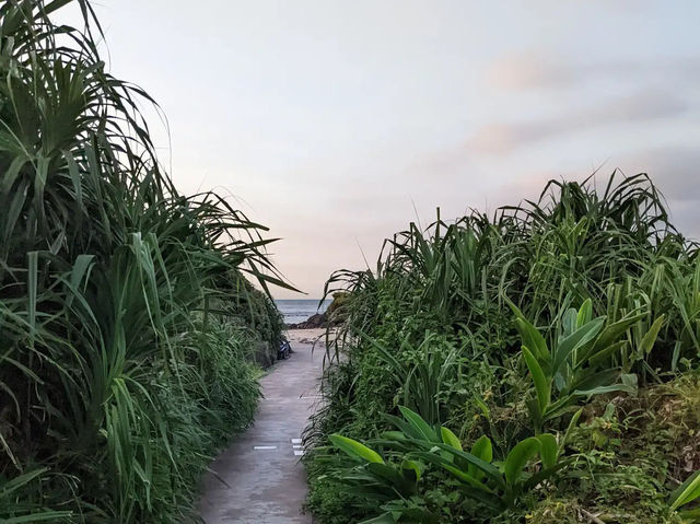  台北麟山鼻遊憩區——藏在北海岸的秘境風光