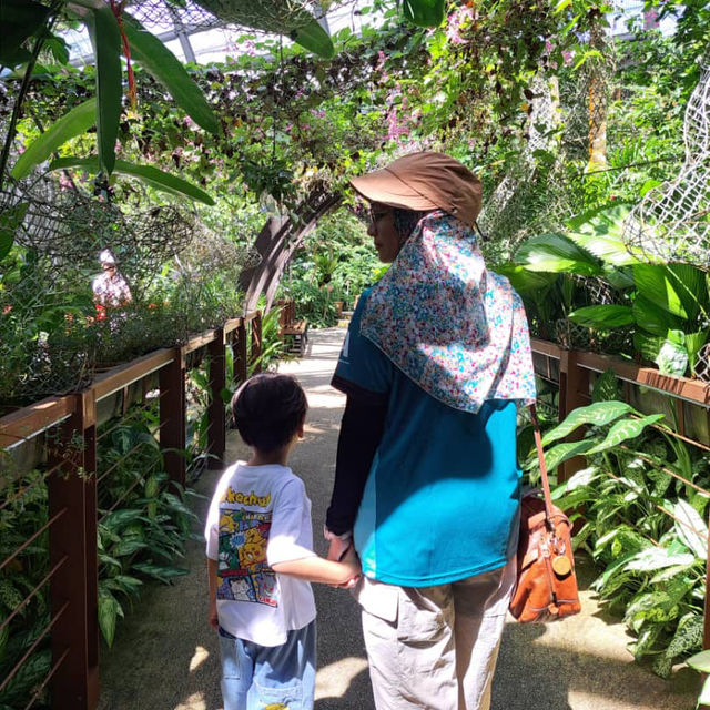 Feeling like a Butterfly @ entopia Penang