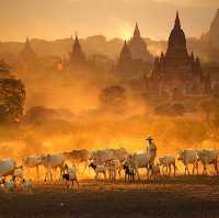 Bagan: the first country of Myanmar 