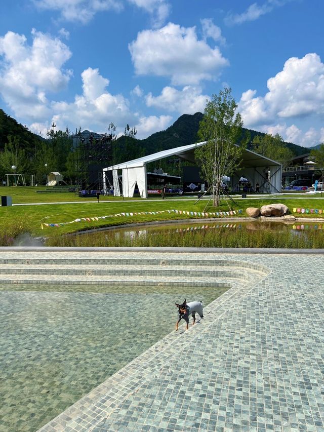 我找到了阿那亞平替【北京山谷】