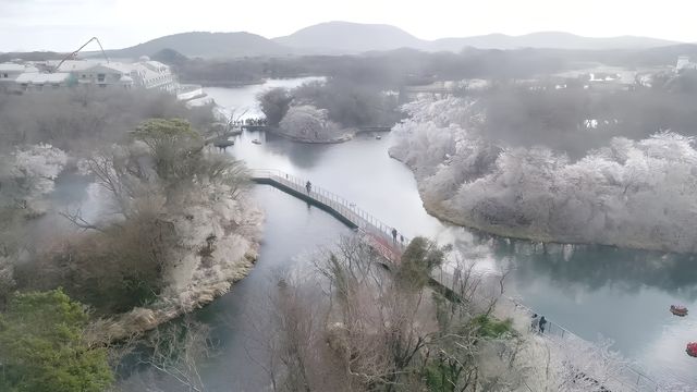 濟州島的深林小火車，是一場充滿驚喜與浪漫的旅行。