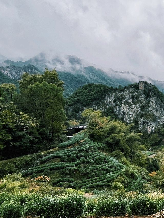 倒數的安山古道仙境再不去要消失啦。