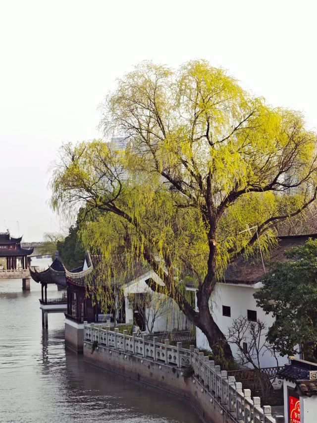 姑蘇城寒山寺