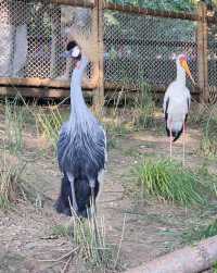 北京野生動物園