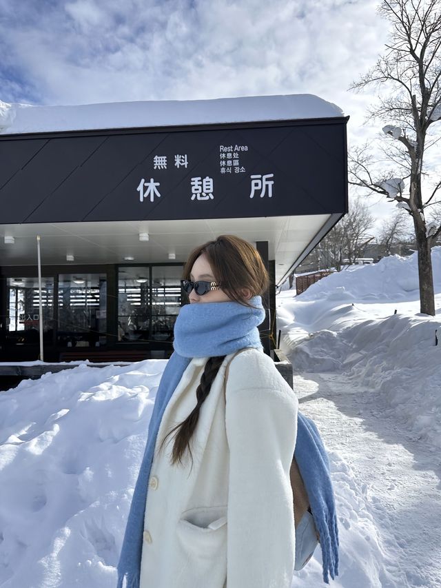 北海道冬季旅行：雪與海的浪漫交響曲