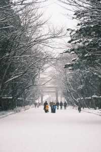 北海道神宮⛩️迎來一場純淨美麗的雪