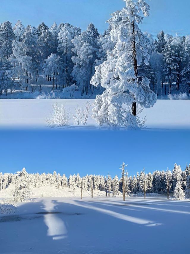 瓦屋山雪景絕美，宛如童話！