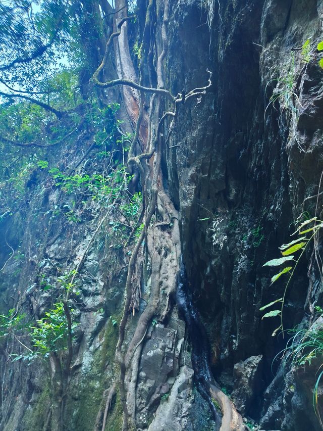 高黎貢山五道溪行山