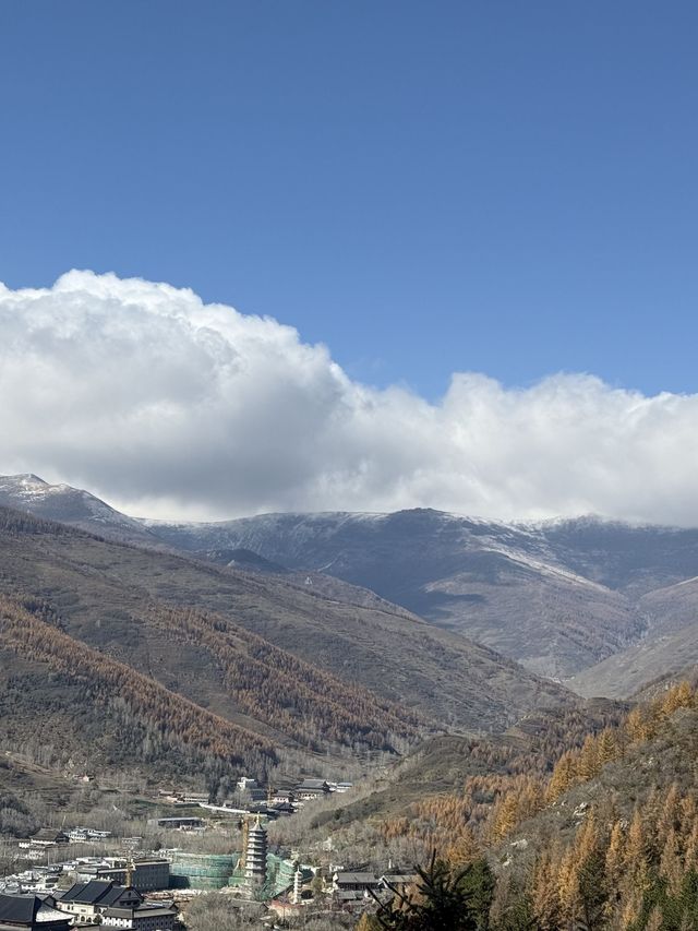 跨年要去山西朔州-雲岡石窟攻略來啦超實用