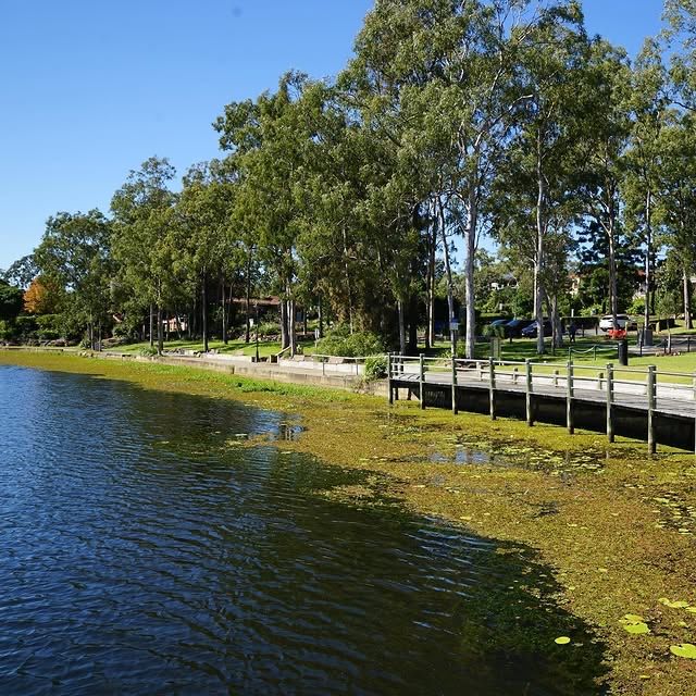 加拿大倫敦 | 傑克遜池塘與公園：城市中的寧靜綠洲