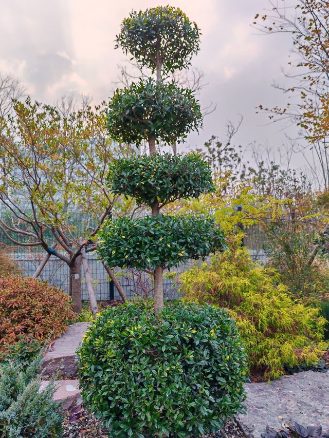 世界花藝園之禪境園和岩石花園