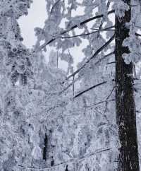 商量崗滑雪場攻略