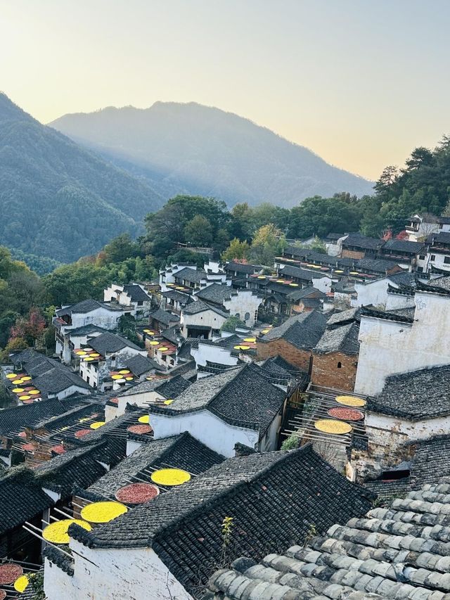 婺源 | 三日遊精華版超詳細攻略