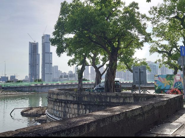 在澳門西灣湖欣賞優美湖景