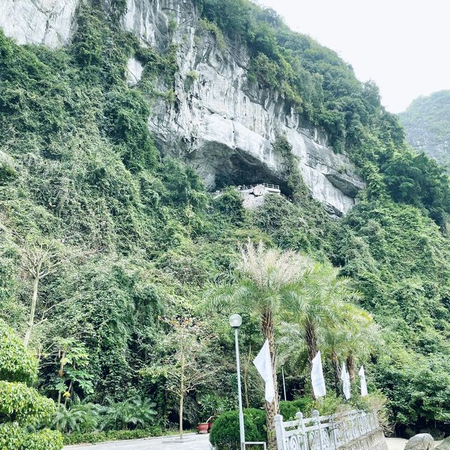 越南🇻🇳下龍灣 ｜世界自然遺產新世界七大奇景🗻自由行🚶🏼