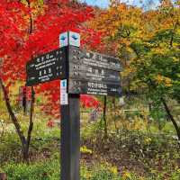 Beautiful Autumn Of Bukhansan National Park 