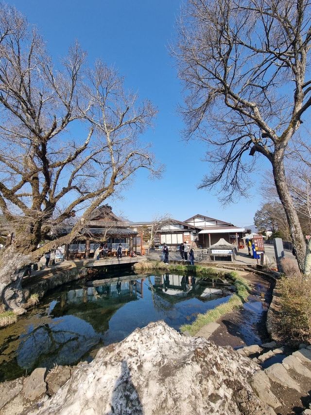 LOVE IN TOKYO, BLOOM IN FUJIYAMA