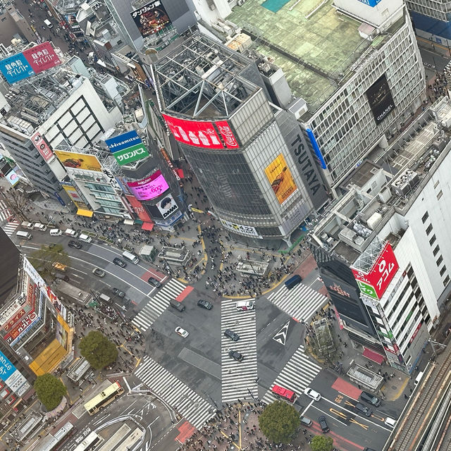 🌆 SHIBUYA SKY - 東京の天空で感じるパノラマビュー 🌌