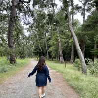 【京都】天橋立が一望できる公園へ♡