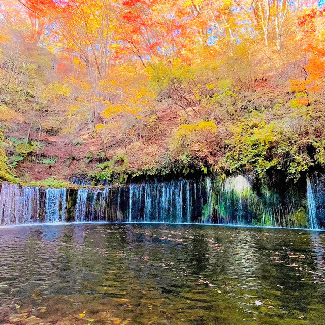 白絲瀑布-水流宛如細白絲線般淌流