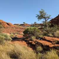 Unveil the Wonders of Kings Canyon - Watarrka National Park