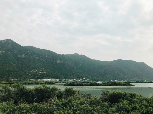 香港🇭🇰大嶼山天壇大佛