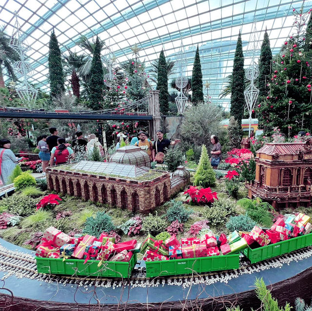 Magical Christmas Experience at Flower Dome!