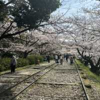 京都櫻花之旅 - 蹴上傾斜鐵道