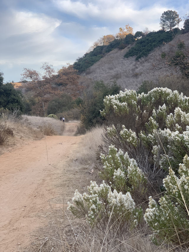 Gorgeous Fall colors in Winter on the Lopez Canyon Trail