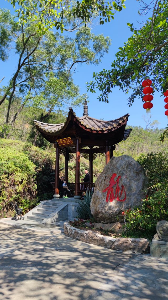 黃楊勝境——金台寺