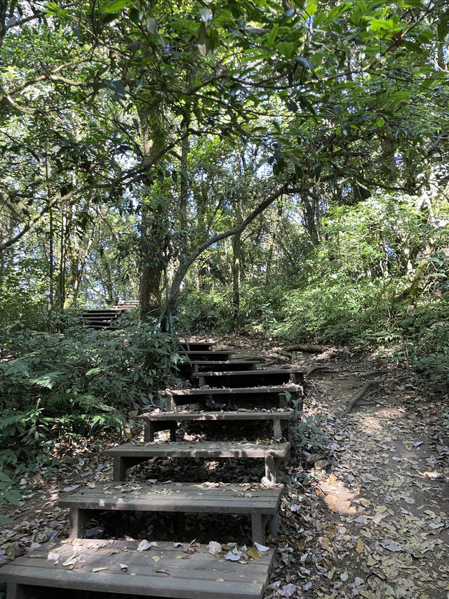 清邁｜因他暖山新手友好小眾徒步路線-上山2