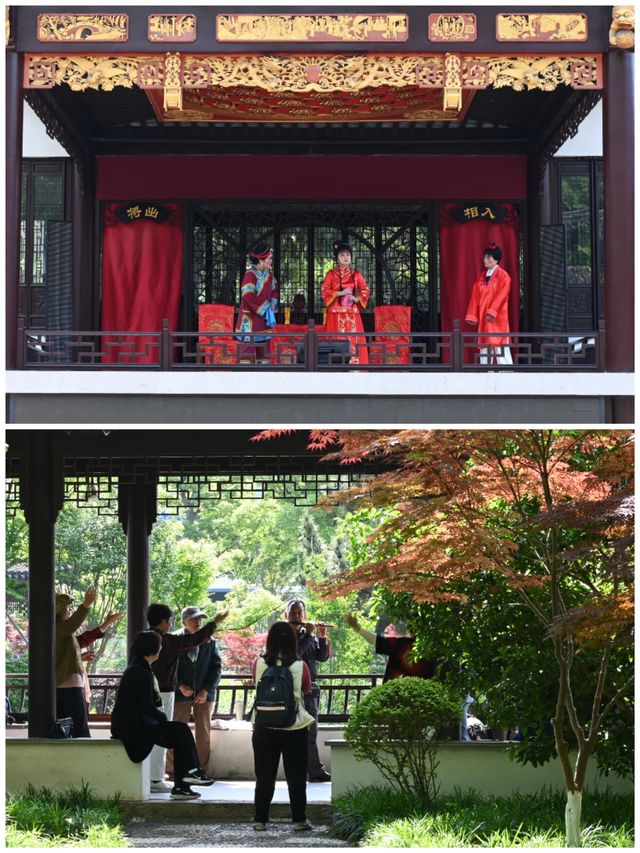 一碗奧灶面，半日亭林園