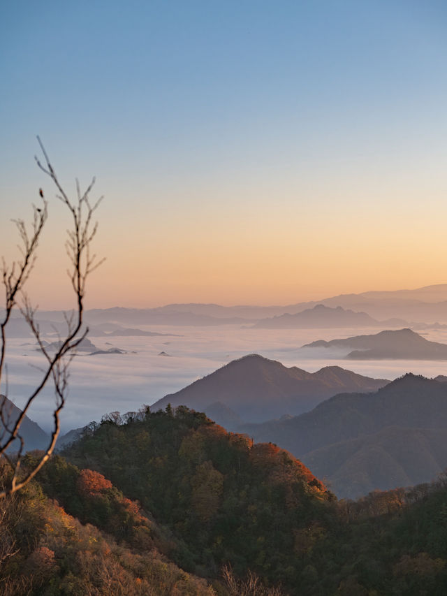 秦嶺山脈奔赴雲海日出 駕車直達太子嶺。