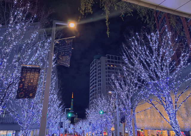 A Late Merry Christmas at Tokyo's Roppongi Christmas Market