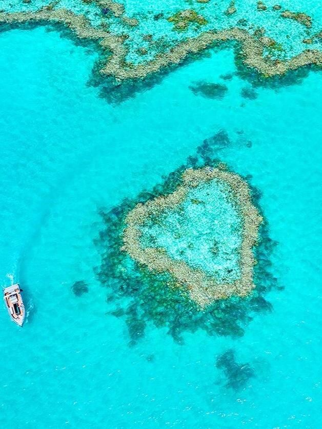 大堡礁：海底奇觀，自然瑰寶。