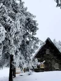 仙女山·在雪舞的世界，感受仙女山的純白童話