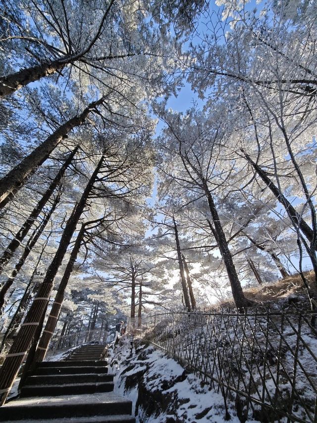 二十四節氣｜時維冬至 看千山暮雪