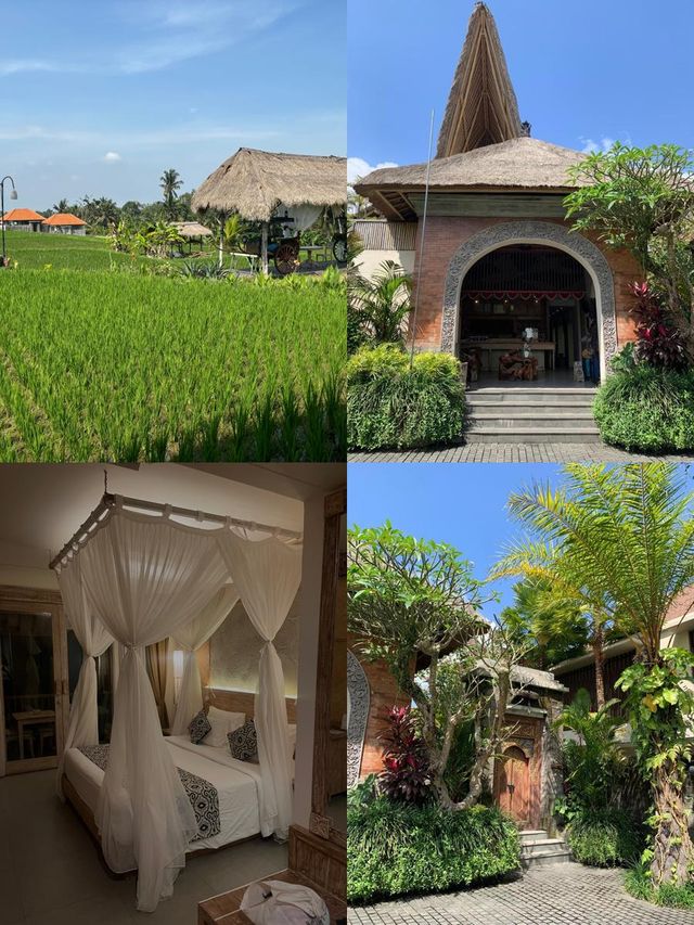 絕美稻田風|The Sun Of Granary Resort And Villas   酒店：