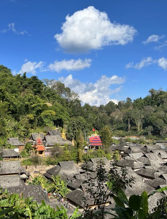 雲端之普洱景邁山