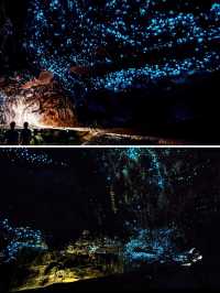 Comparison between North or South Island, Glowworm Caves in New Zealand