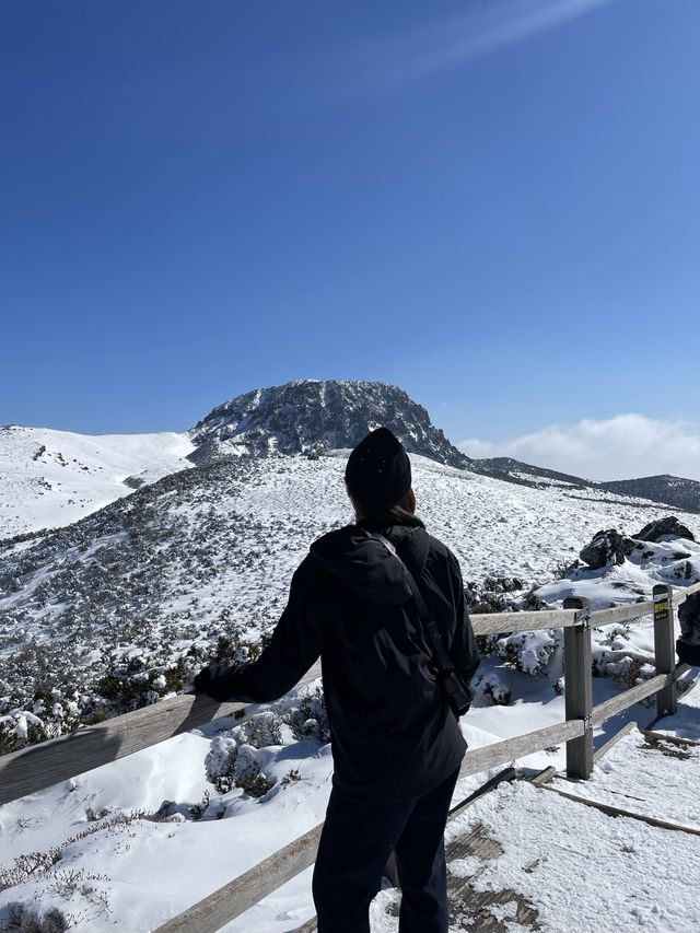 겨울 필수 한라산 등반 추천🤍