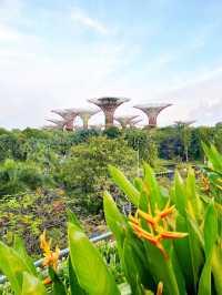 Discover the Beauty of Gardens by the Bay